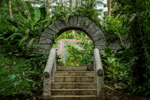 Gerbang Hutan Bambu resize