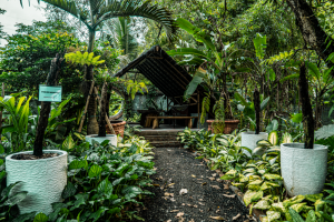 Rumah Transit Hutan Bambu resize