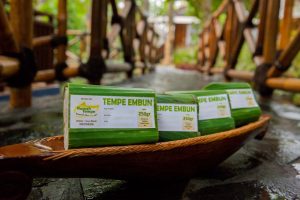 tempe embun 2