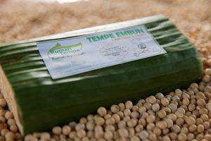 tempe embun 3